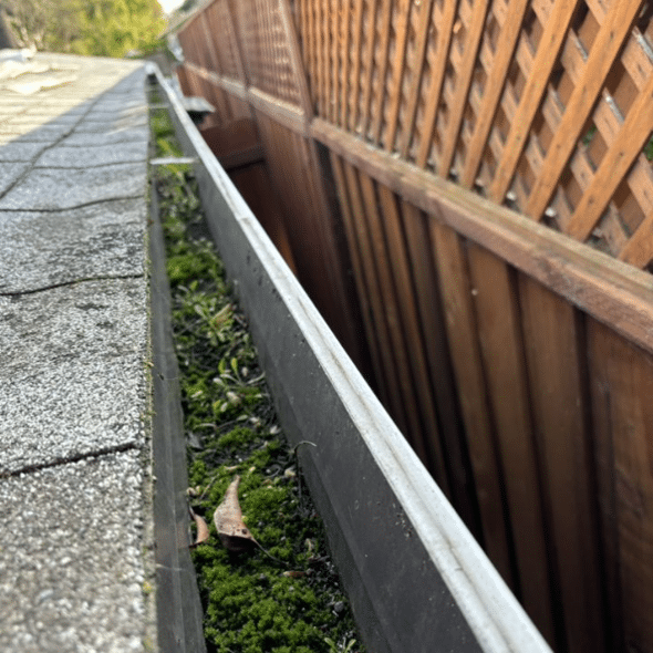 gutter-cleaning-before