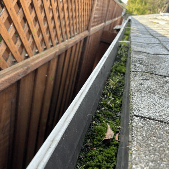 gutter-cleaning-before