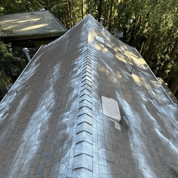 moss-removal-company-in-marin-ca