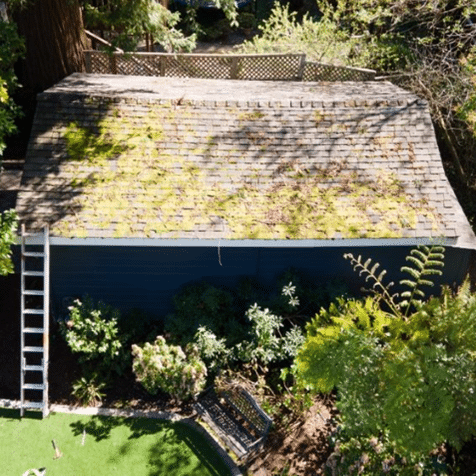roof-cleaning-before
