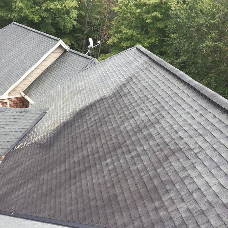 soft washing companies in kentfield ca