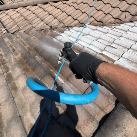 soft-washing-services-in-kentfield-ca