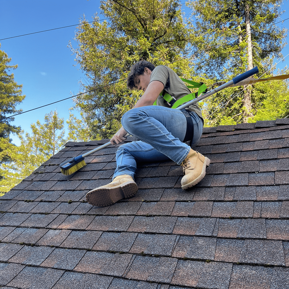 roof-cleaning-service-in-kentfield-ca