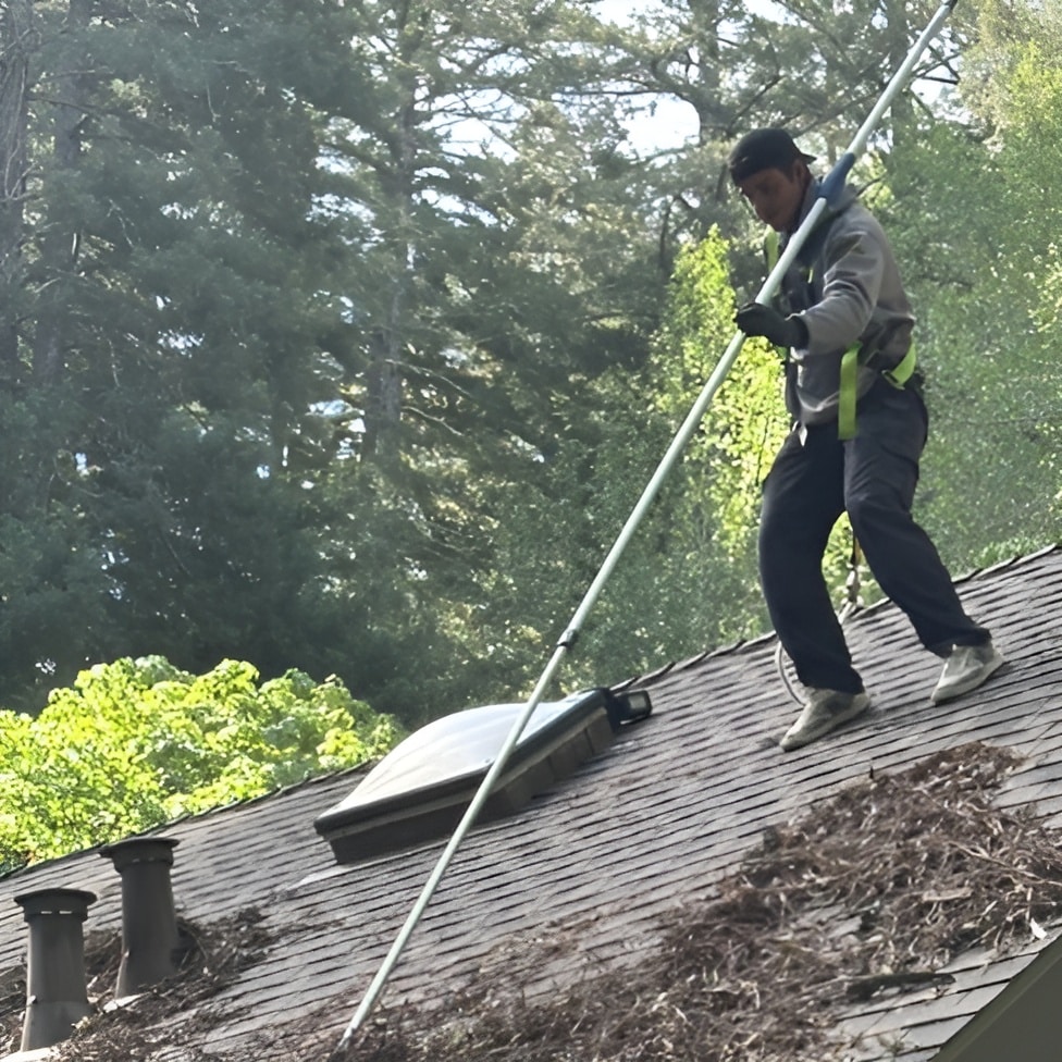 roof cleaning
