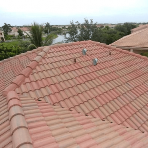 Tile-Roof-Cleaning-.png